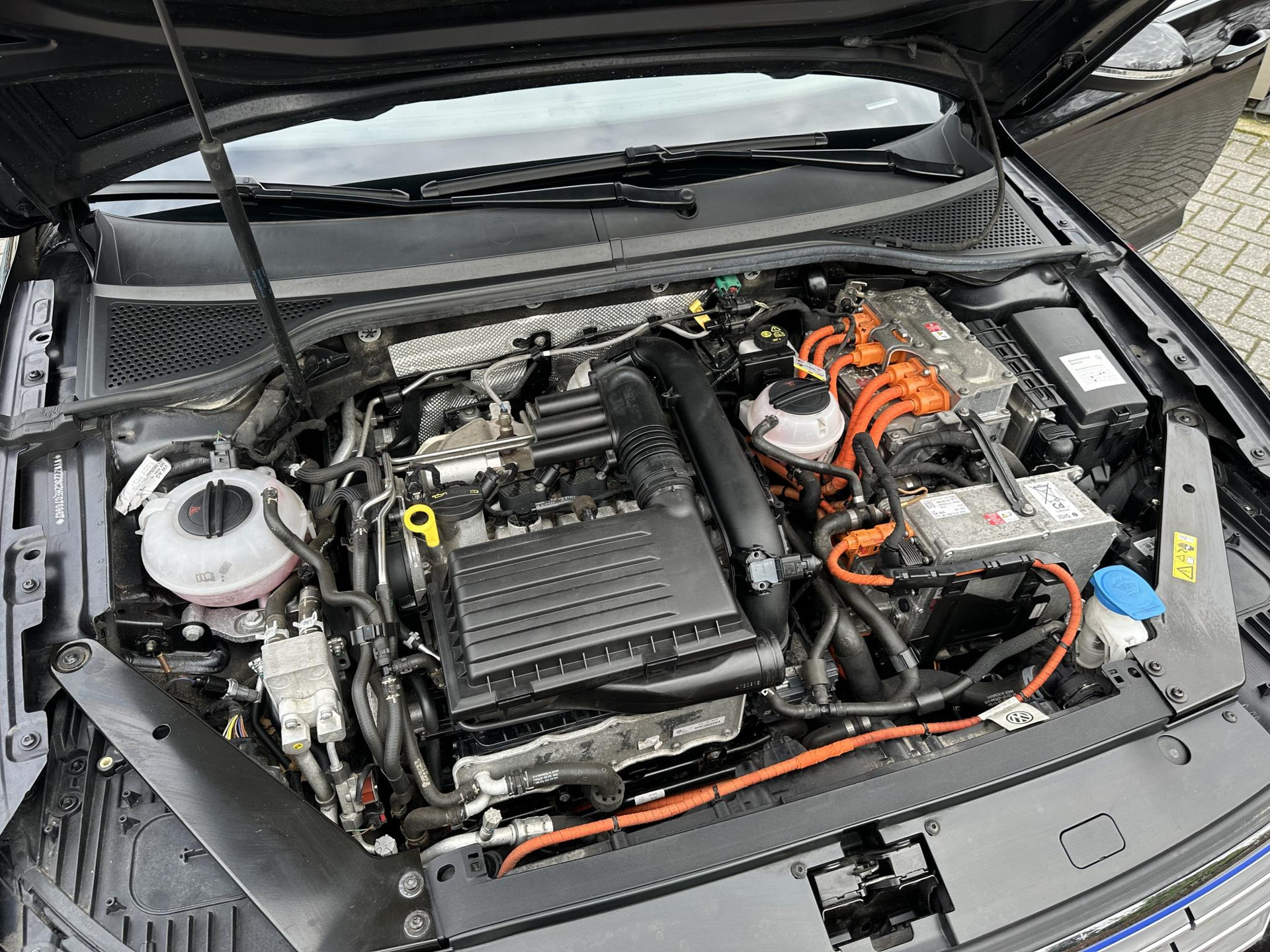 37259686-33.jpg