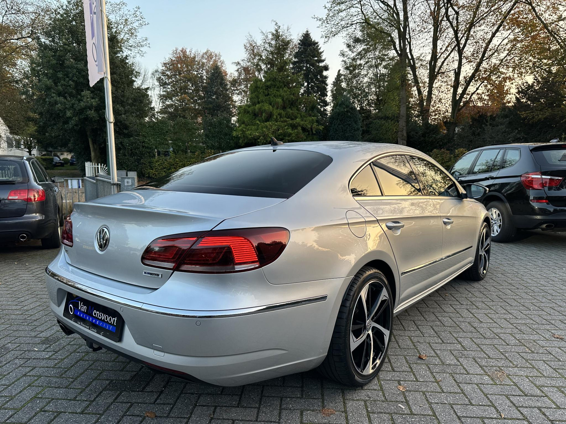 41113511-3.jpg