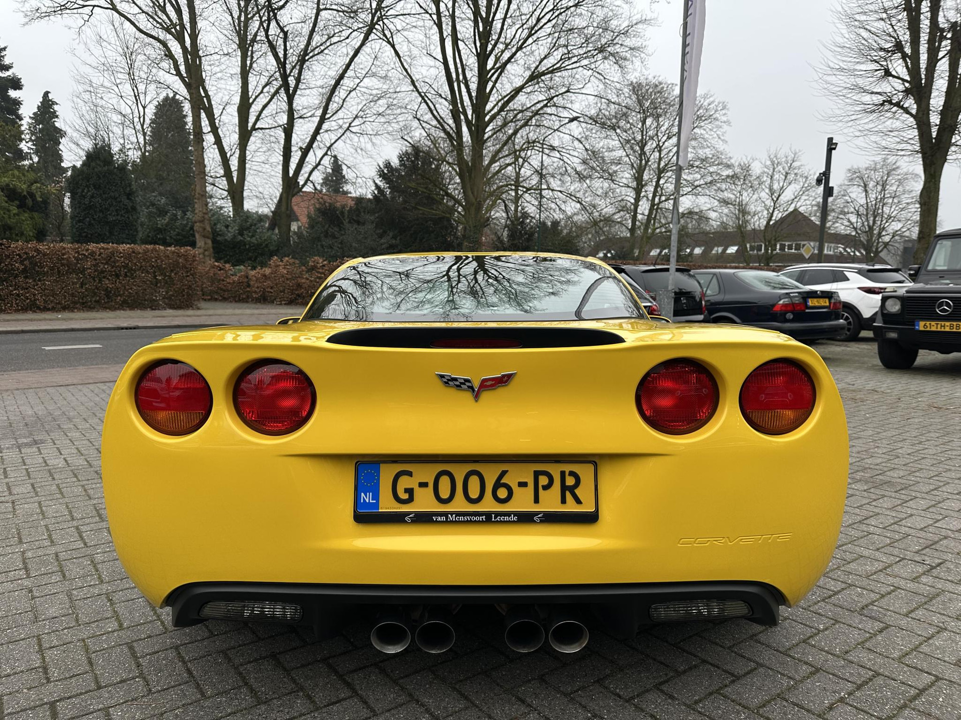 42468315-7.jpg