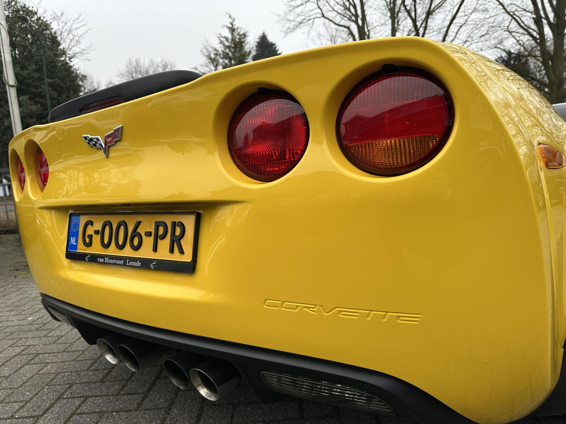 42468315-8.jpg