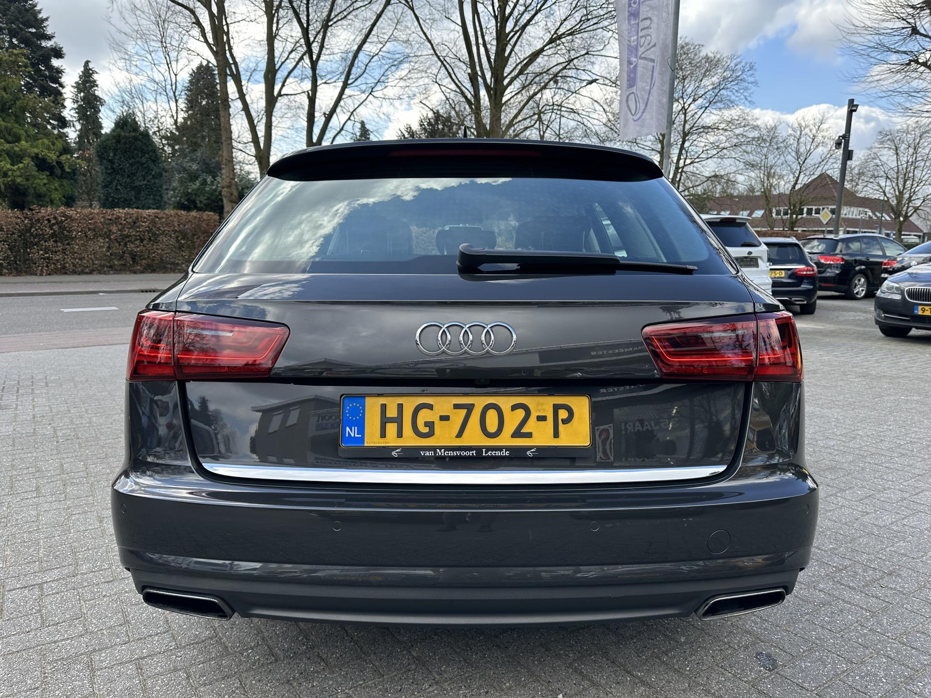 43581043-7.jpg