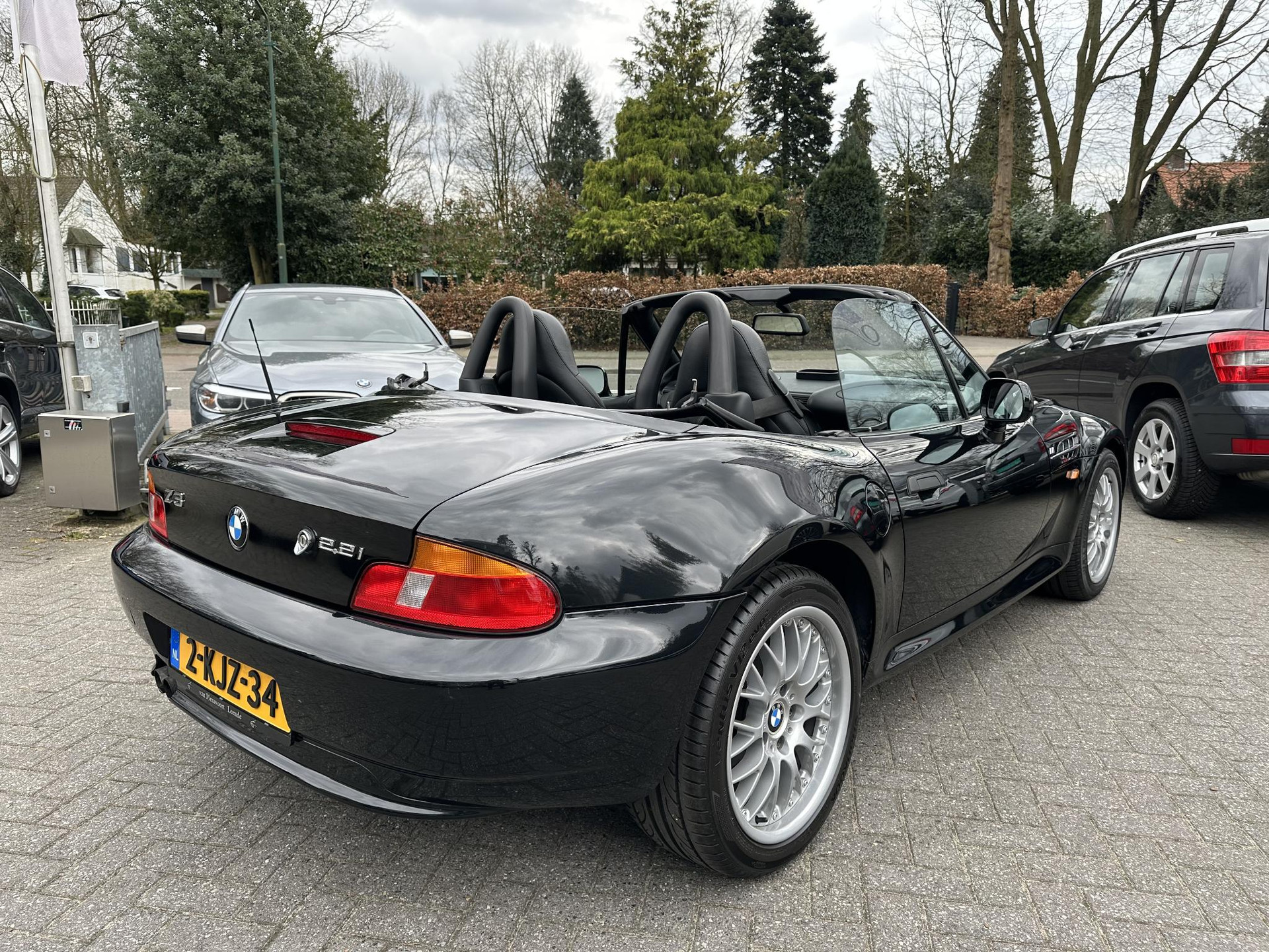 43581048-3.jpg