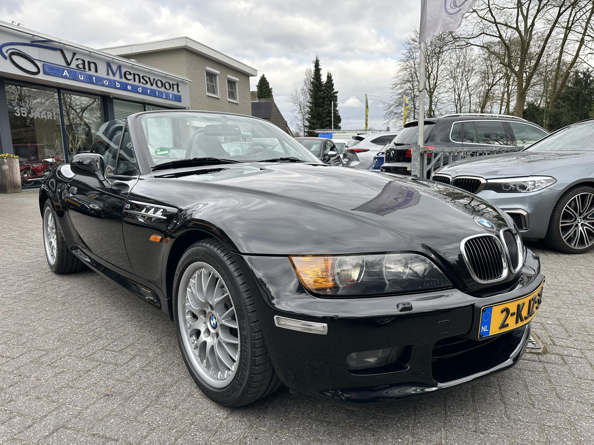 43581048-5.jpg
