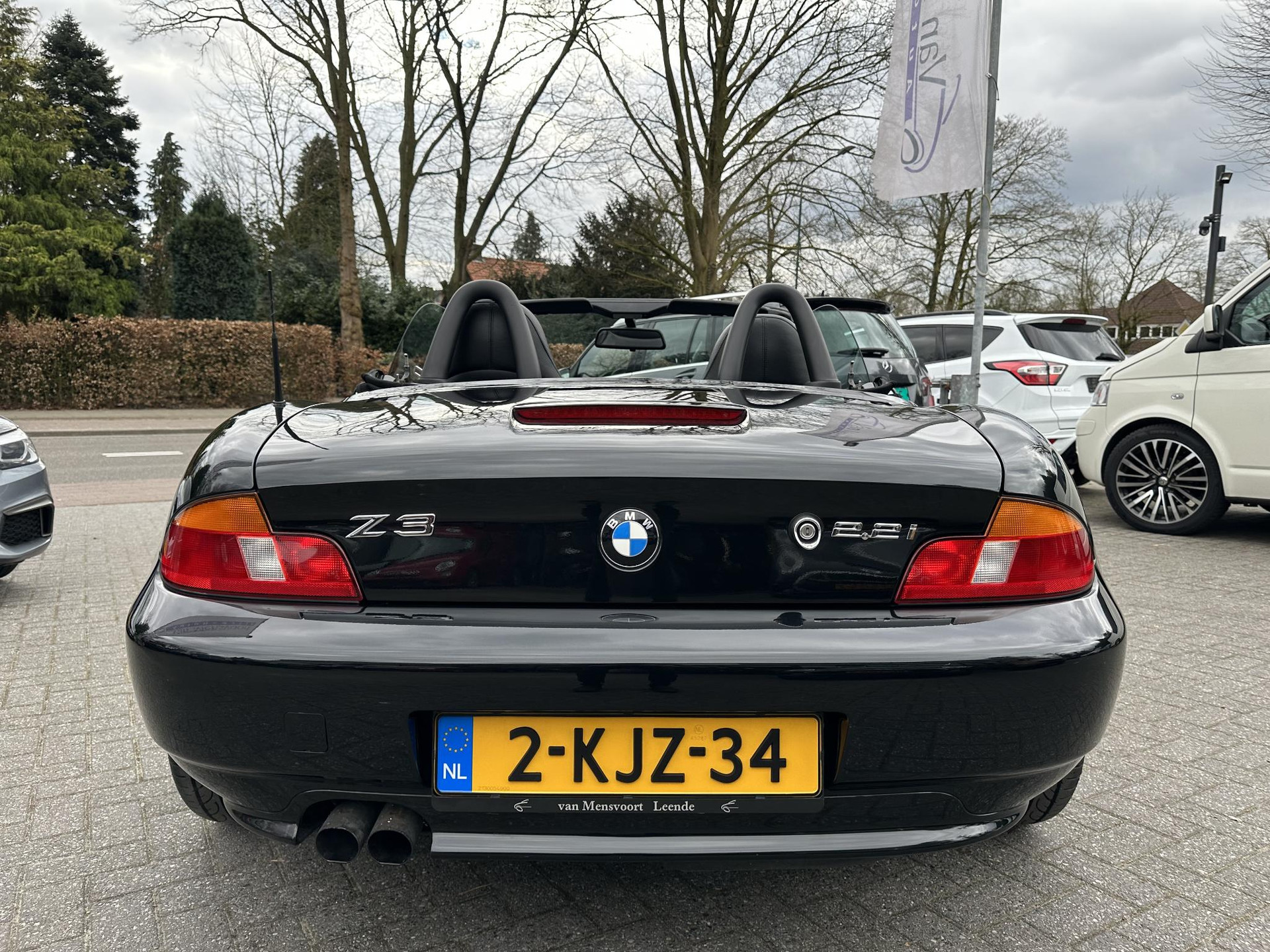 43581048-7.jpg