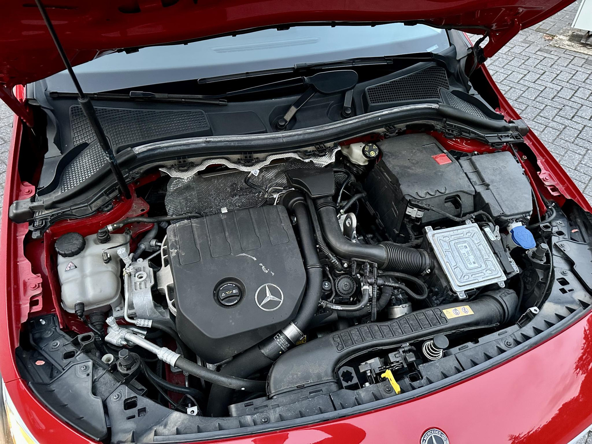 47383113-25.jpg