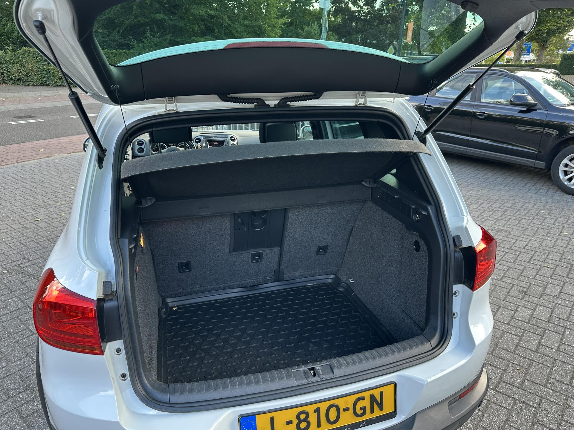 47576663-25.jpg