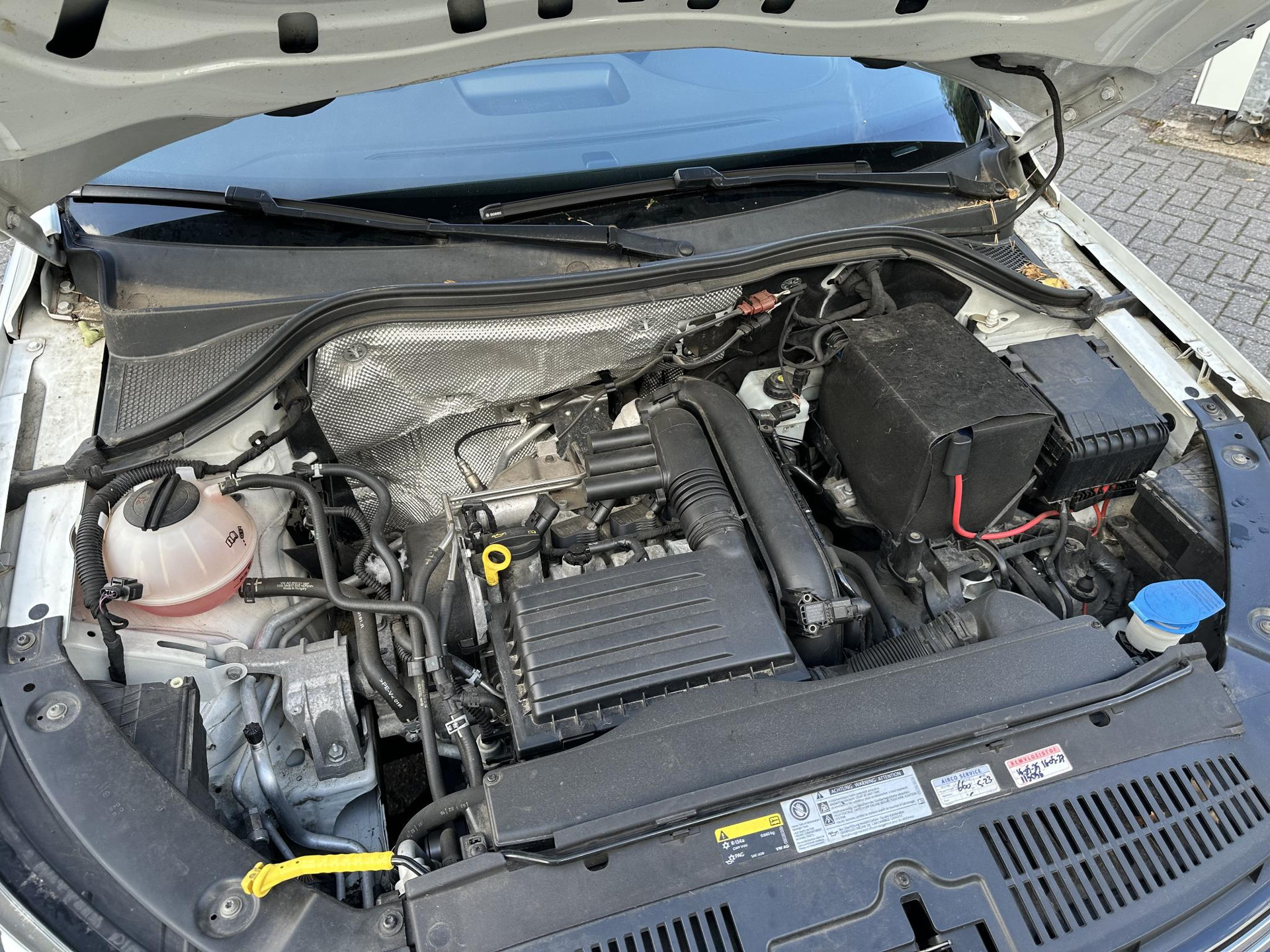 47576663-26.jpg