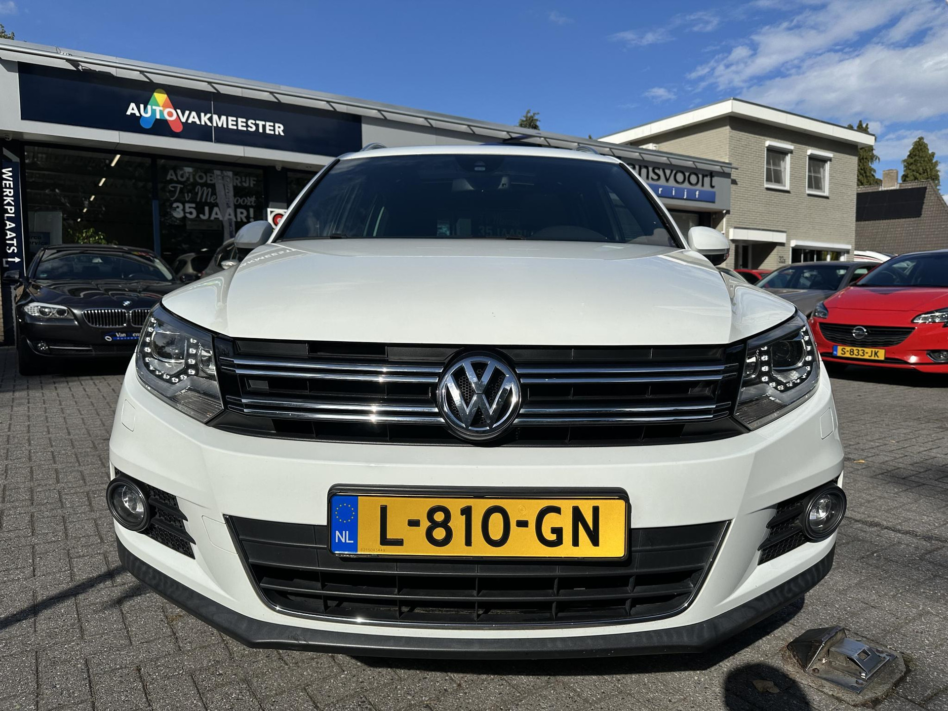 47576663-6.jpg