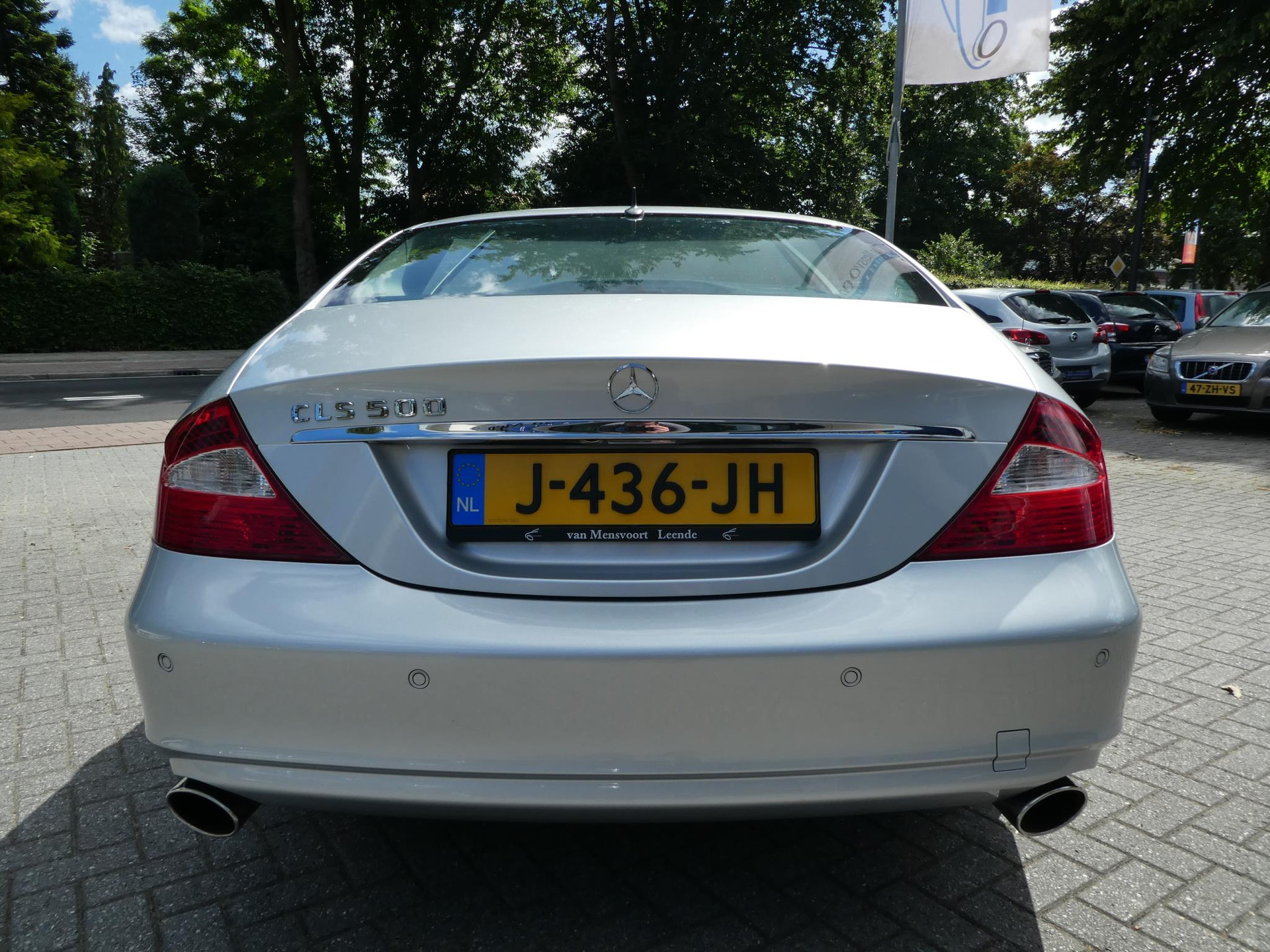 49306031-11.jpg