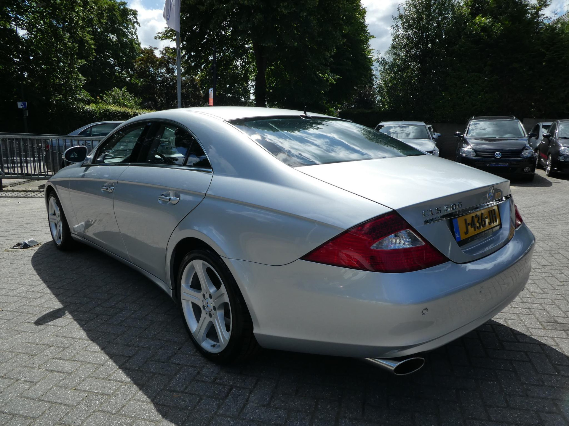 49306031-6.jpg
