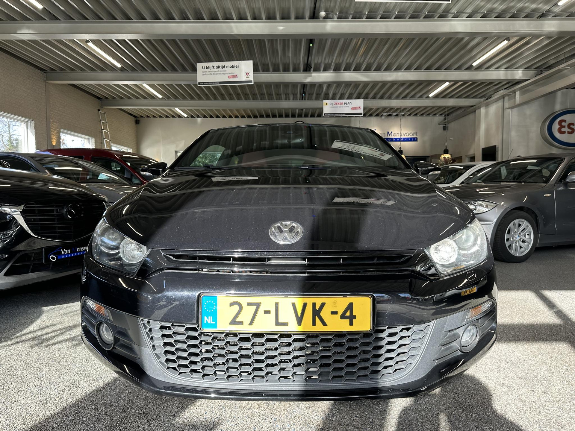 51350432-4.jpg
