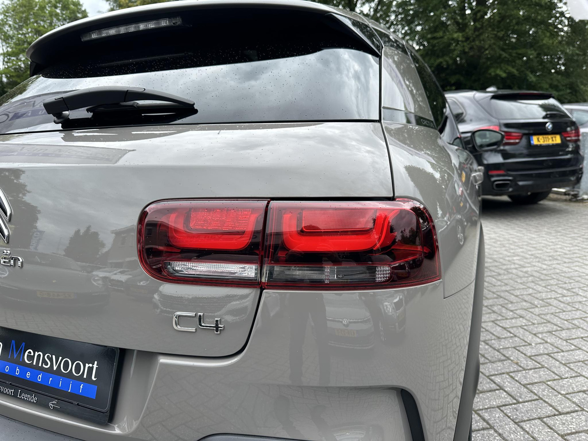 53549667-7.jpg