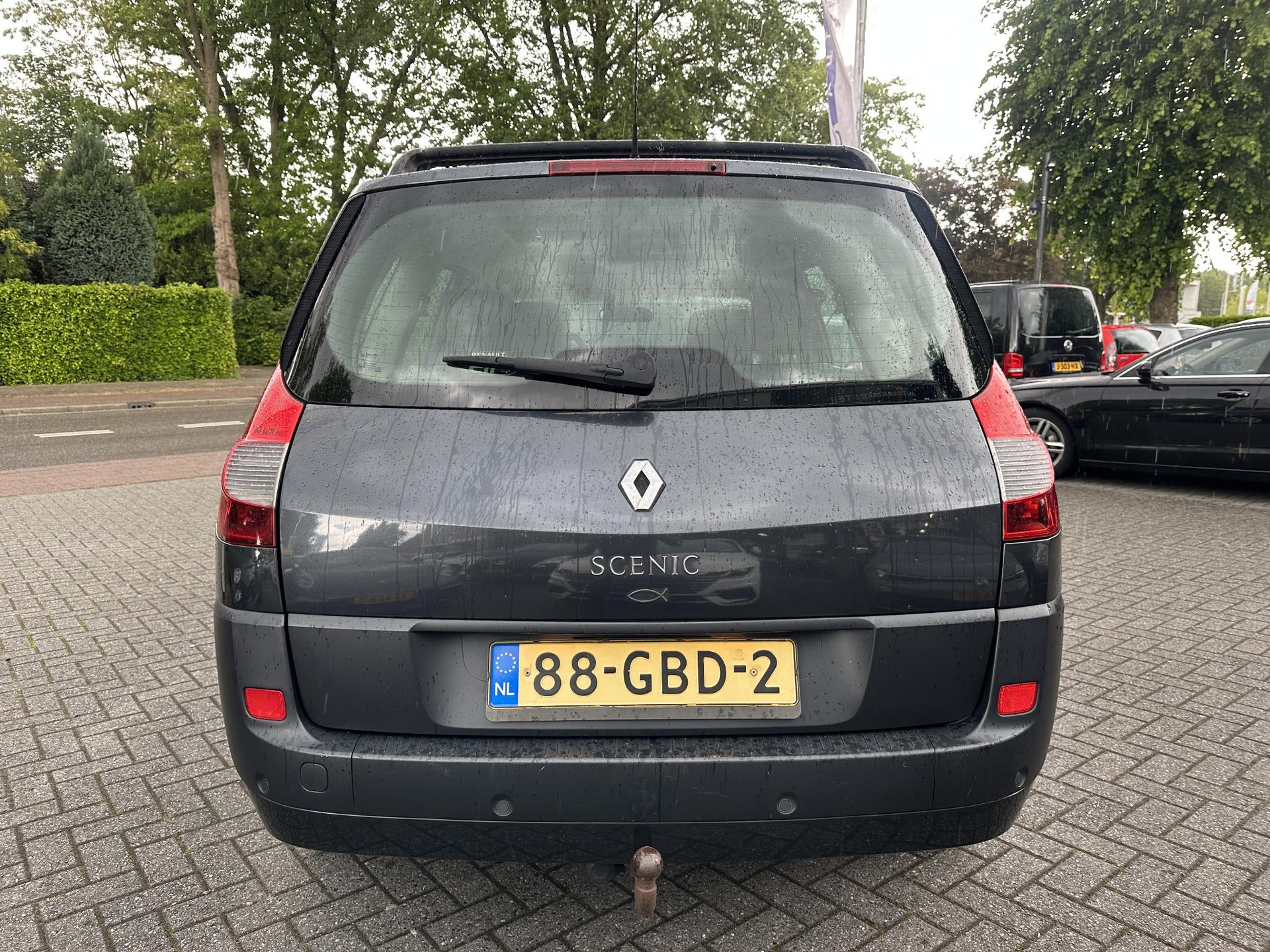 53573213-7.jpg