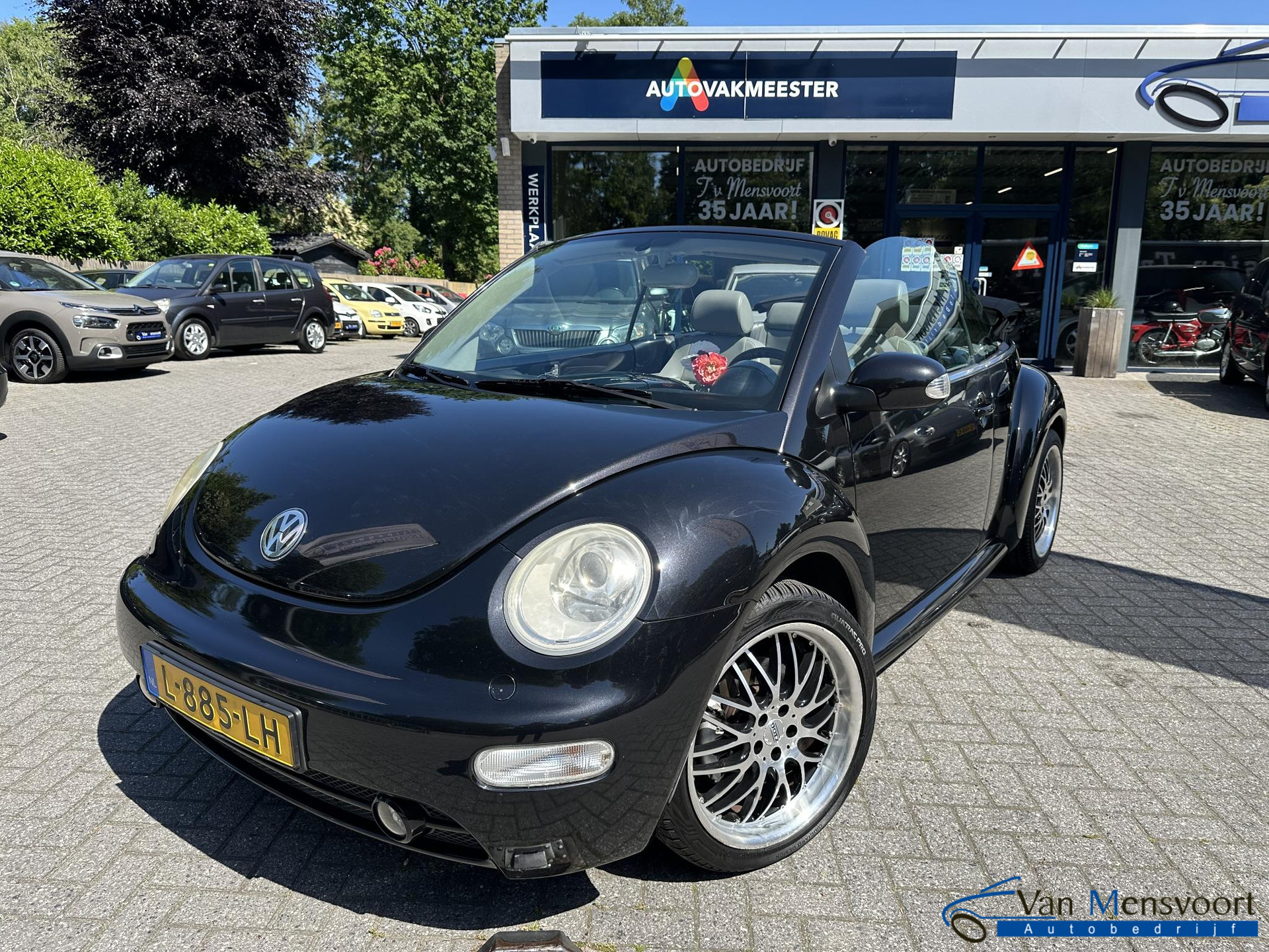 53695253-0.jpg