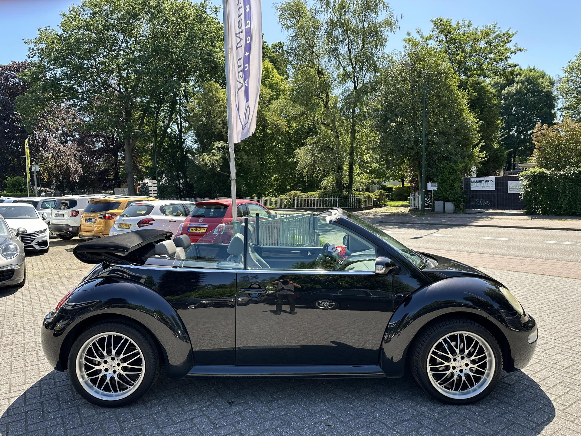 53695253-4.jpg