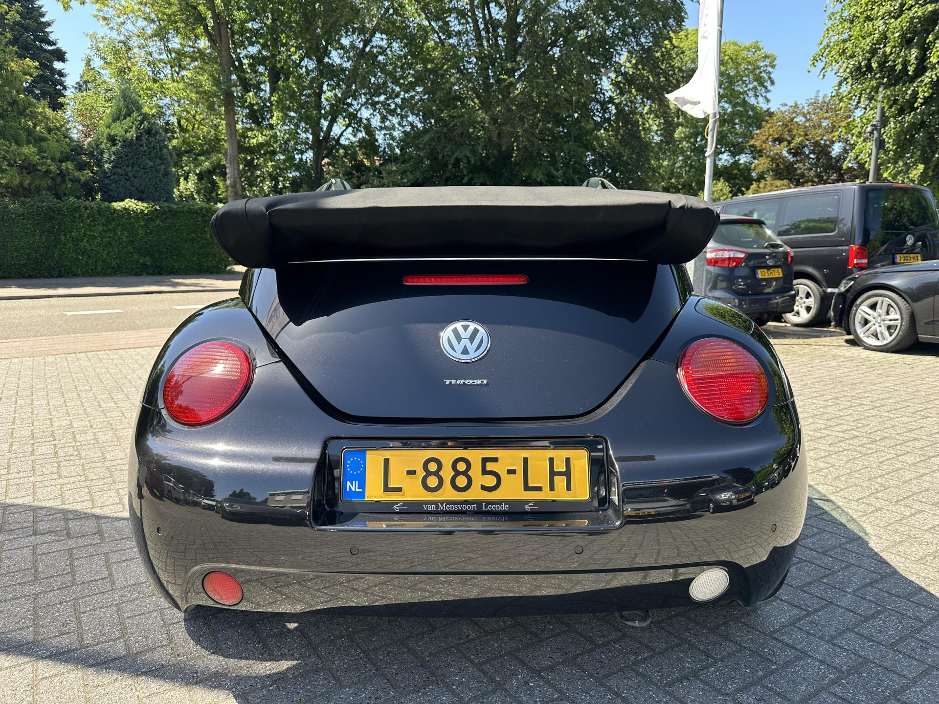 53695253-6.jpg