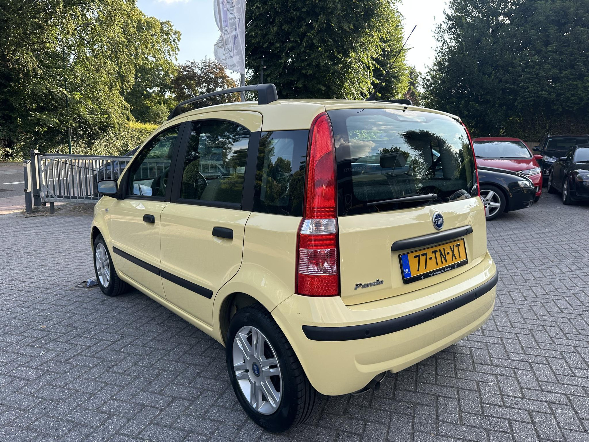 54700611-2.jpg