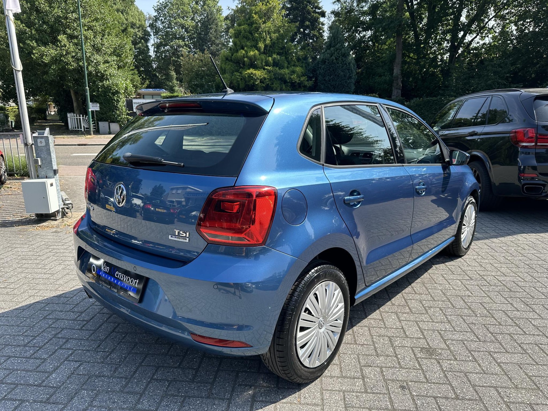 54899663-2.jpg