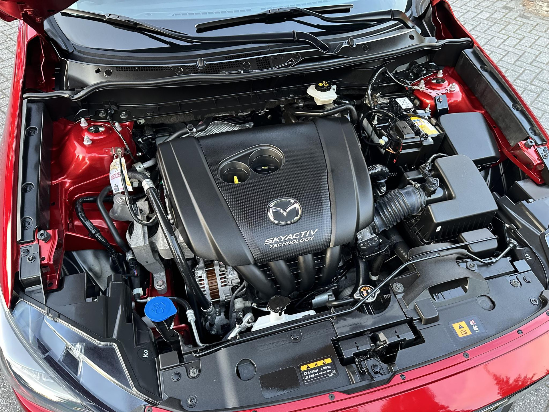 56208749-30.jpg