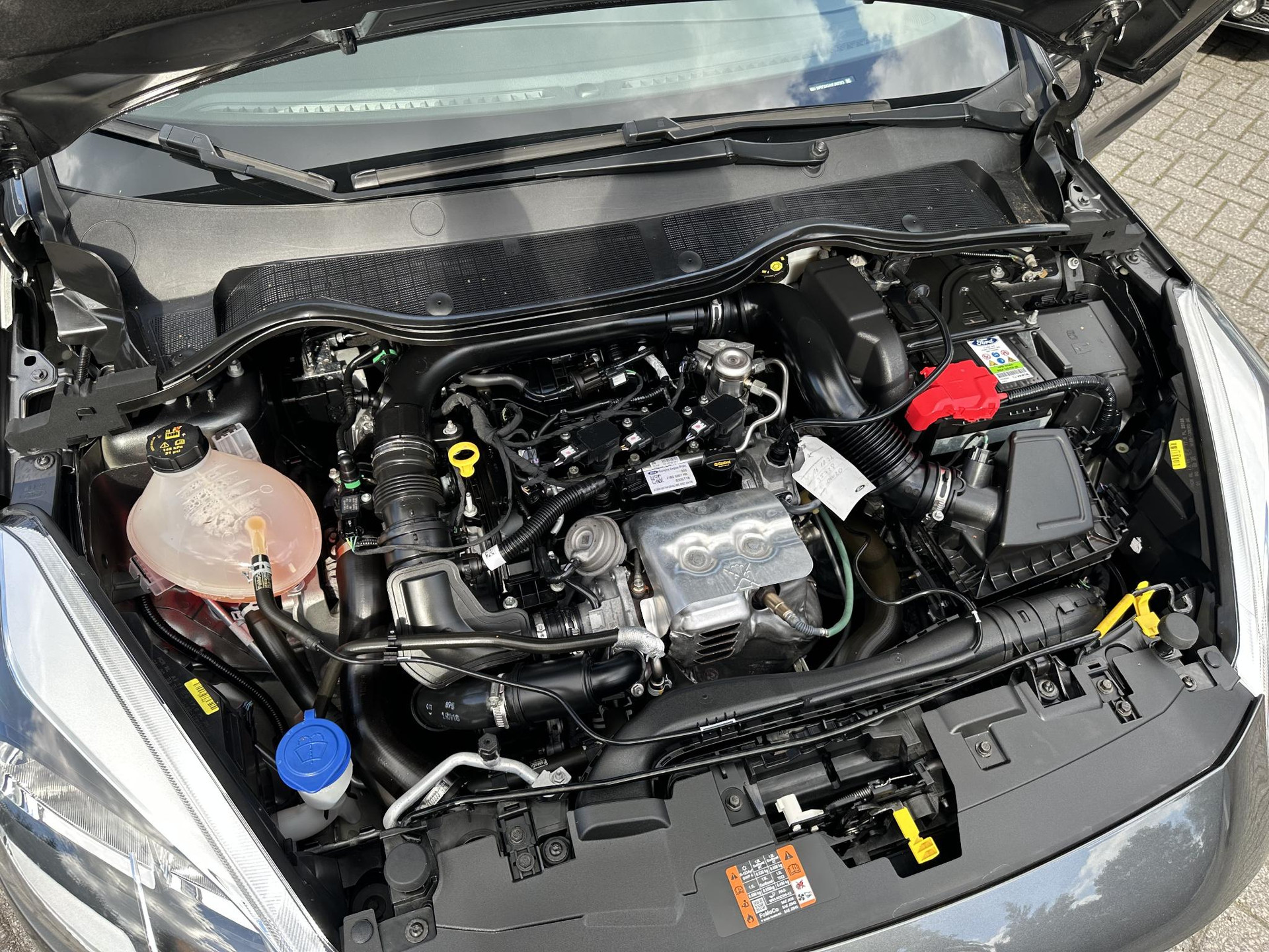 56261092-29.jpg