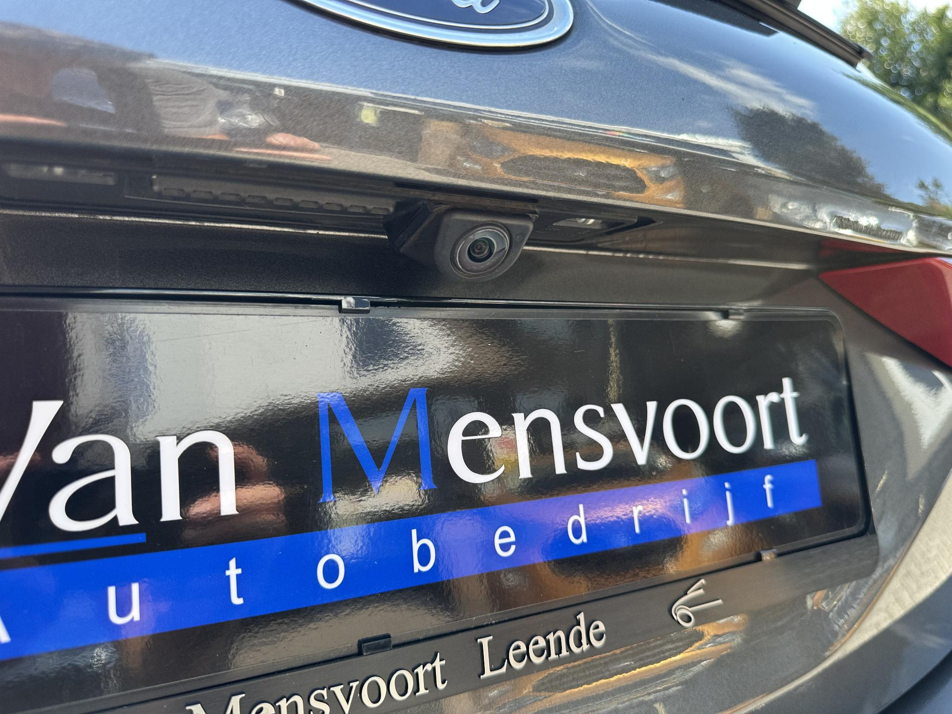 56261229-14.jpg