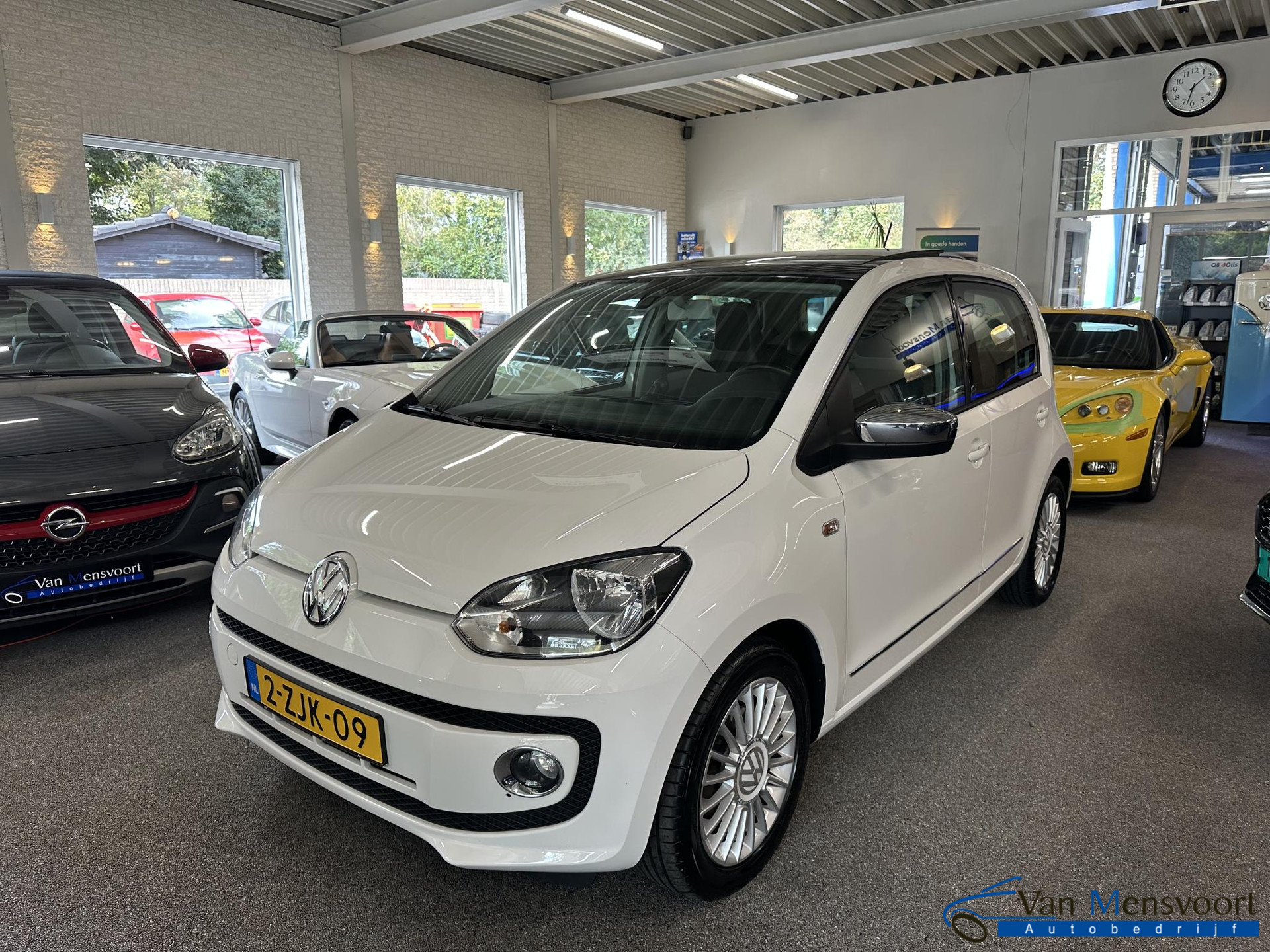 57074644