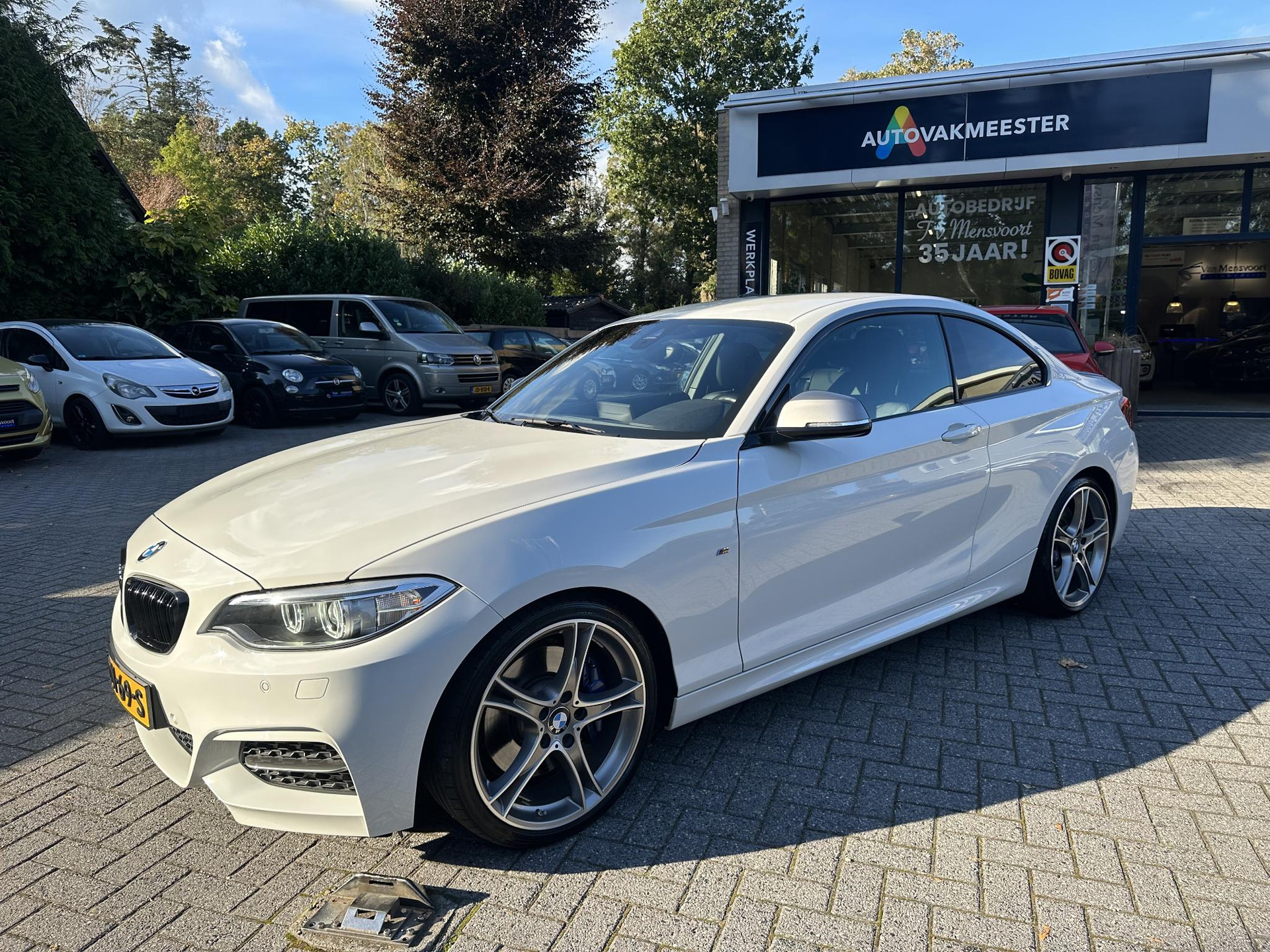 57216666-1.jpg