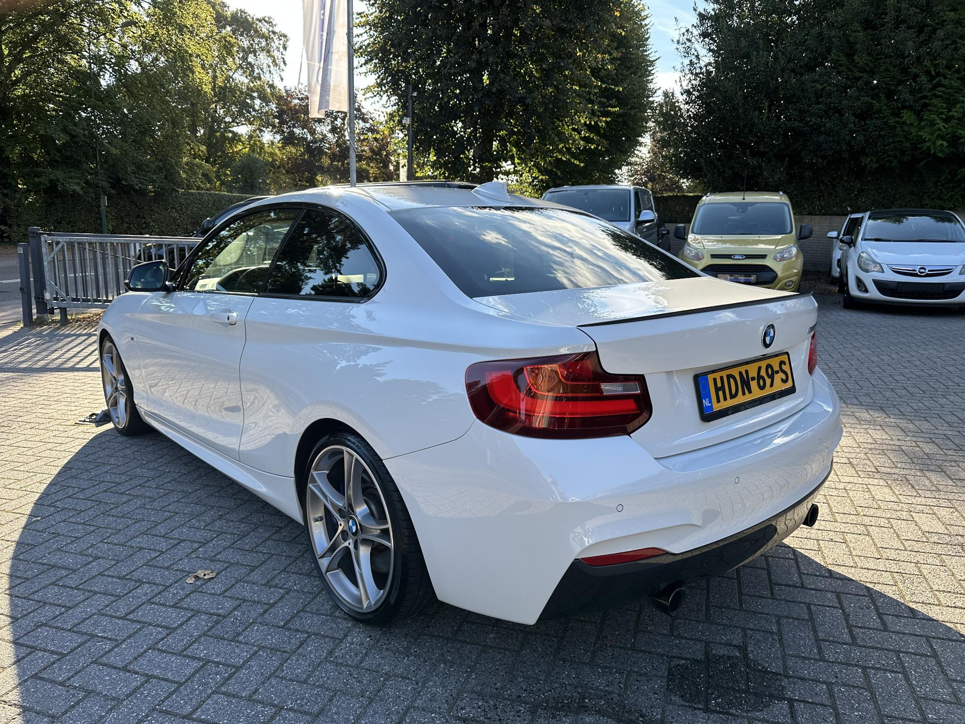 57216666-2.jpg