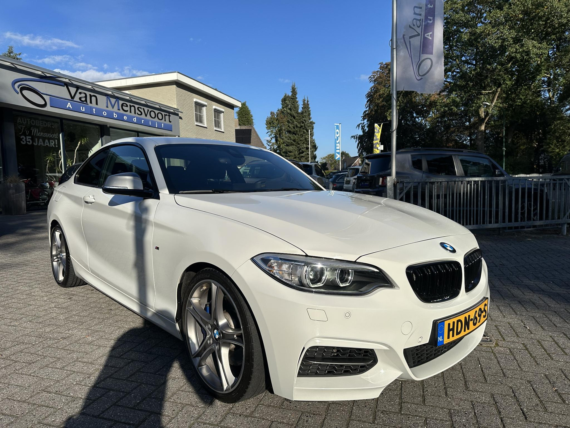 57216666-5.jpg
